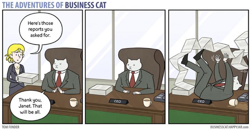 cat boss 7