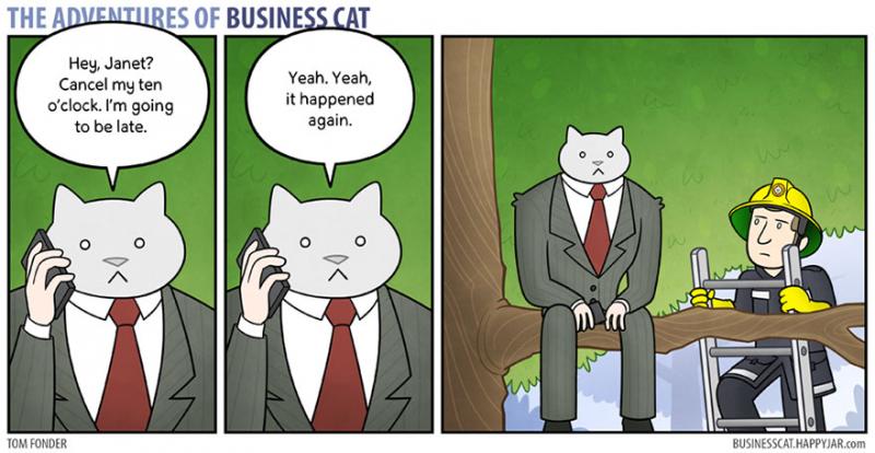 cat boss 8