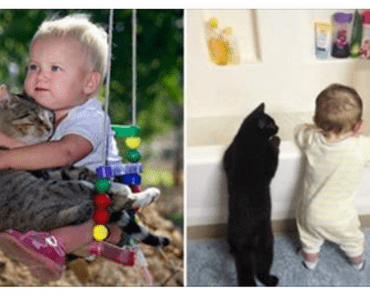 40 Beautiful Photos Of Children And Cats Being The Best Of Friends