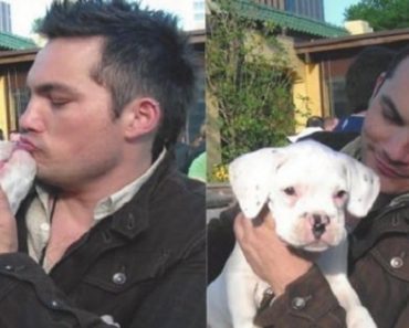 Read This Dog’s ‘Goodbye’ Letter To His Owner, It Will Leave You In Tears