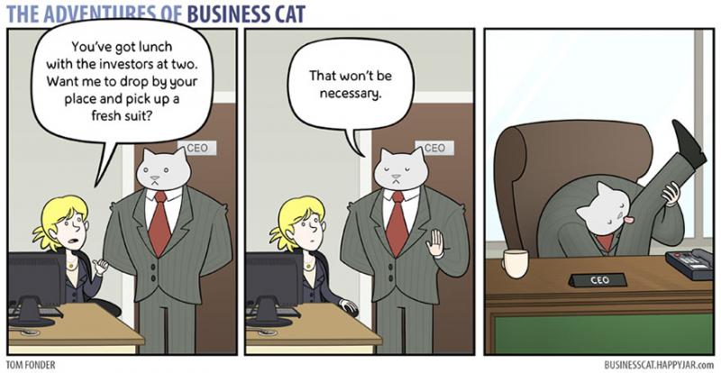 cat boss 10