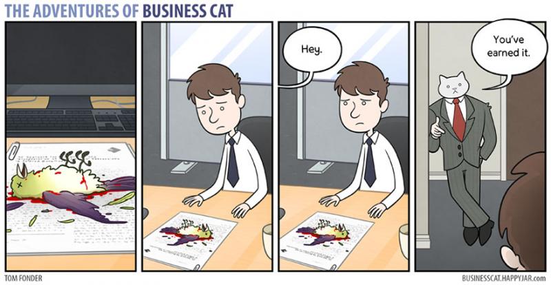 cat boss 5