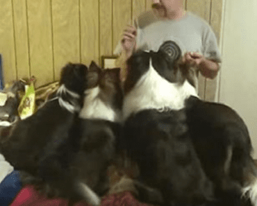 As He Gives Each Dog A Treat, Pay Close Attention To The One On The Far Left
