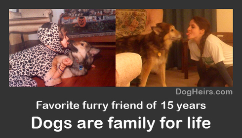 families dogs 