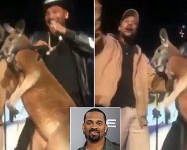 Comic Brings A Leashed Up And Distressed Kangeroo On Stage, Then Gets Punched In The Face…