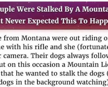 Couple Got Stalked By A Mountain Lion, But Didn’t Quite Expect This To Happen…