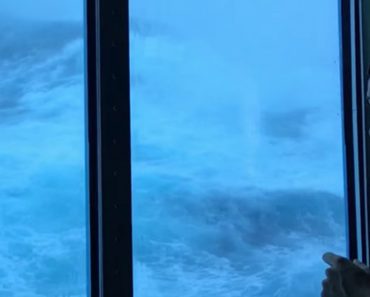 Crazy Footage Of Massive 30-Foot Waves Slamming Into Cruise Ship