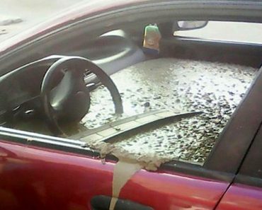 Husband Fills His Wife’s Car With Cement After She Changes Her Last Name