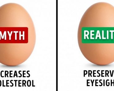 14 Food Myths That Scientists Have Proven False