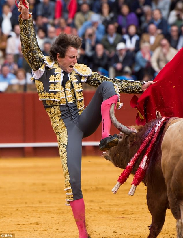 Roman Collado bullfighting
