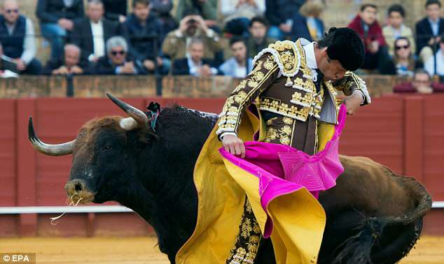 Roman Collado bullfighting