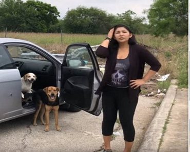 Woman Is Confronted As She Abandons Her Four Dogs At A Vacant Lot