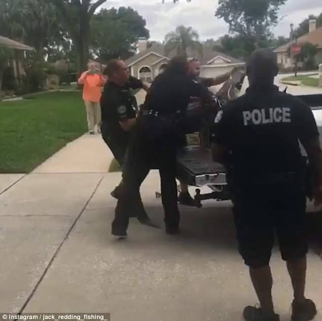 Florida alligator headbutts police