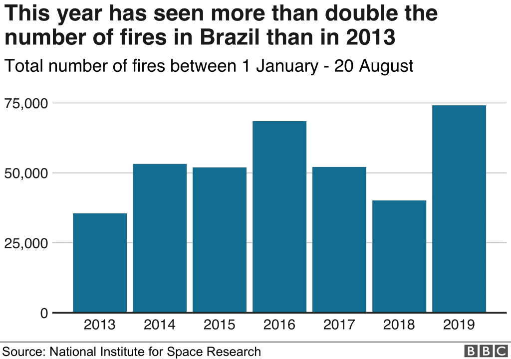 brazil amazon fires 