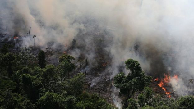 brazil amazon fires