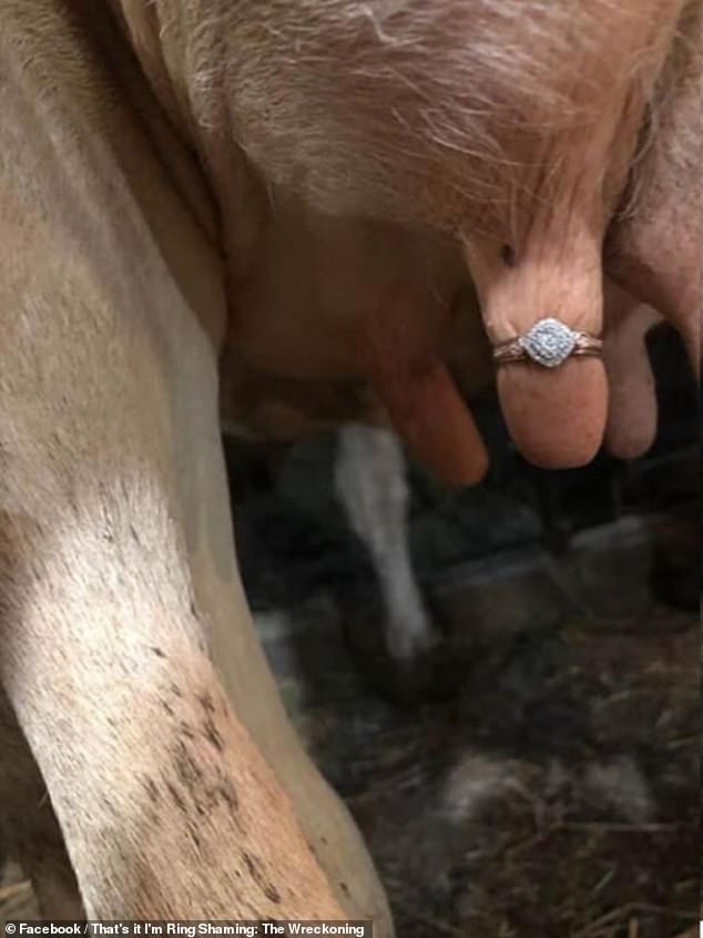 farmer engagement ring cow nipple